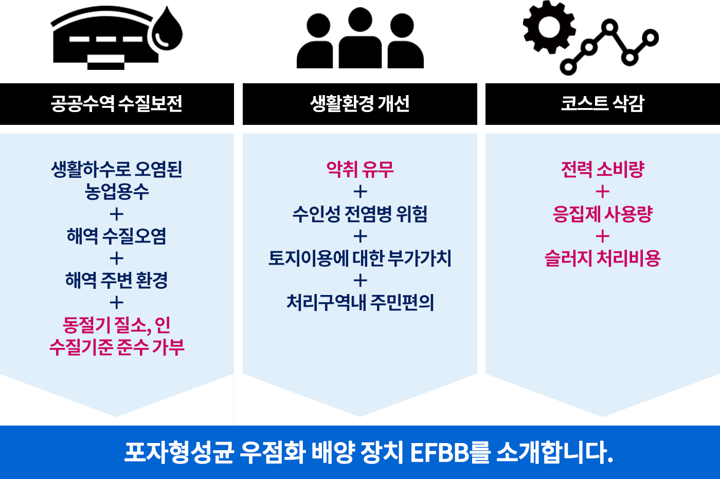 공공수역 수질보전-생활하수로 오염된 농업용수+해역 수질오염+해역 주변 환경+동절기 질소, 인 수질기준 준수 가부, 생활환경 개선-악취 유무+수인성 전염병 위험+토지이용에 대한 부가가치+처리구역내 주민편의, 코스트 삭감-전력 소비량+응집제사용량+슬러지 처리비용, 포자형성균(바실러스균) 우점화 장치 EFBB를 소개합니다.